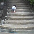 さん