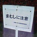 まむし